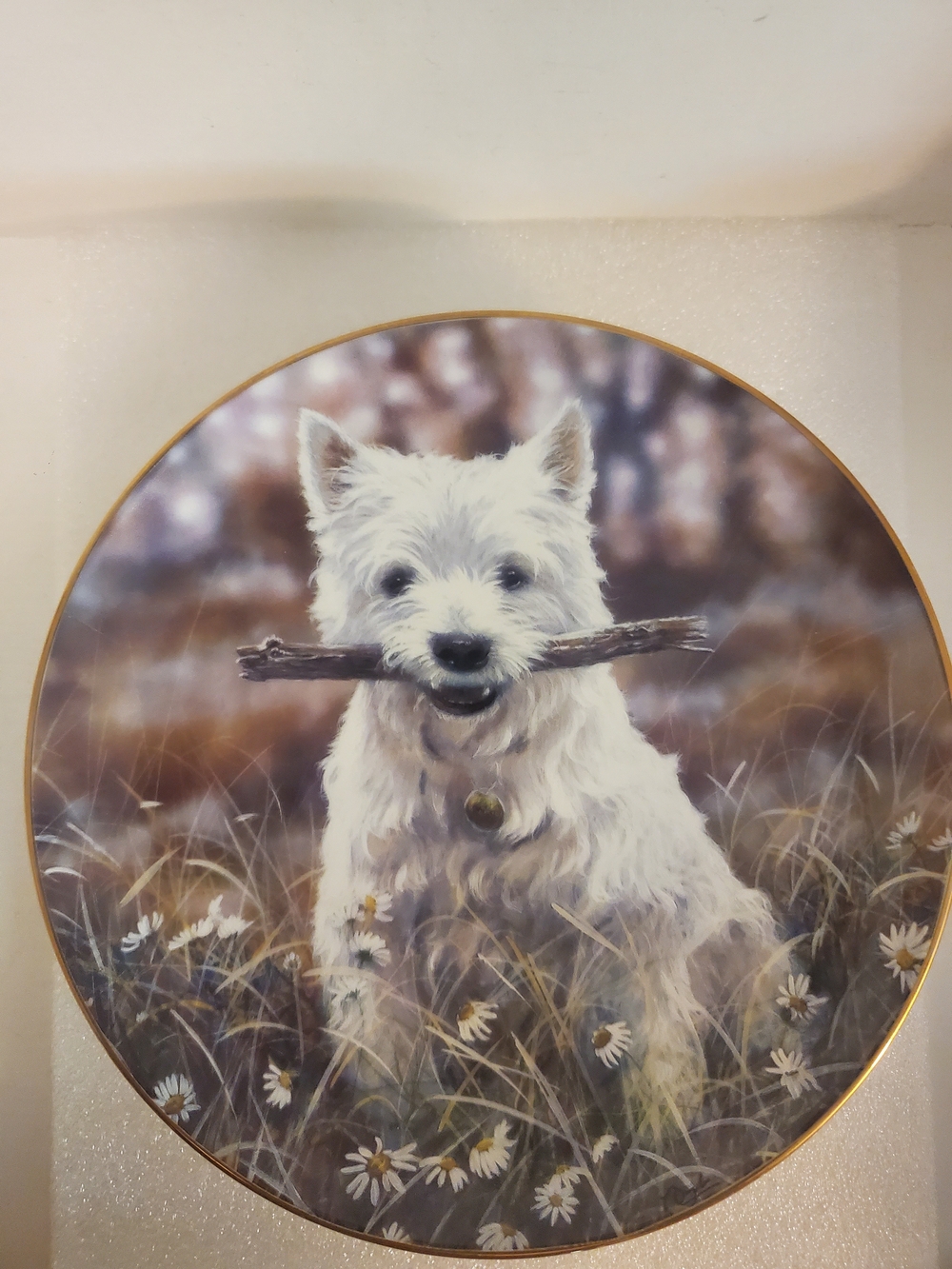 Danbury Mint “Let’s Play!” West Highland Terriers By Paul Doyle 8&1/8”Plate